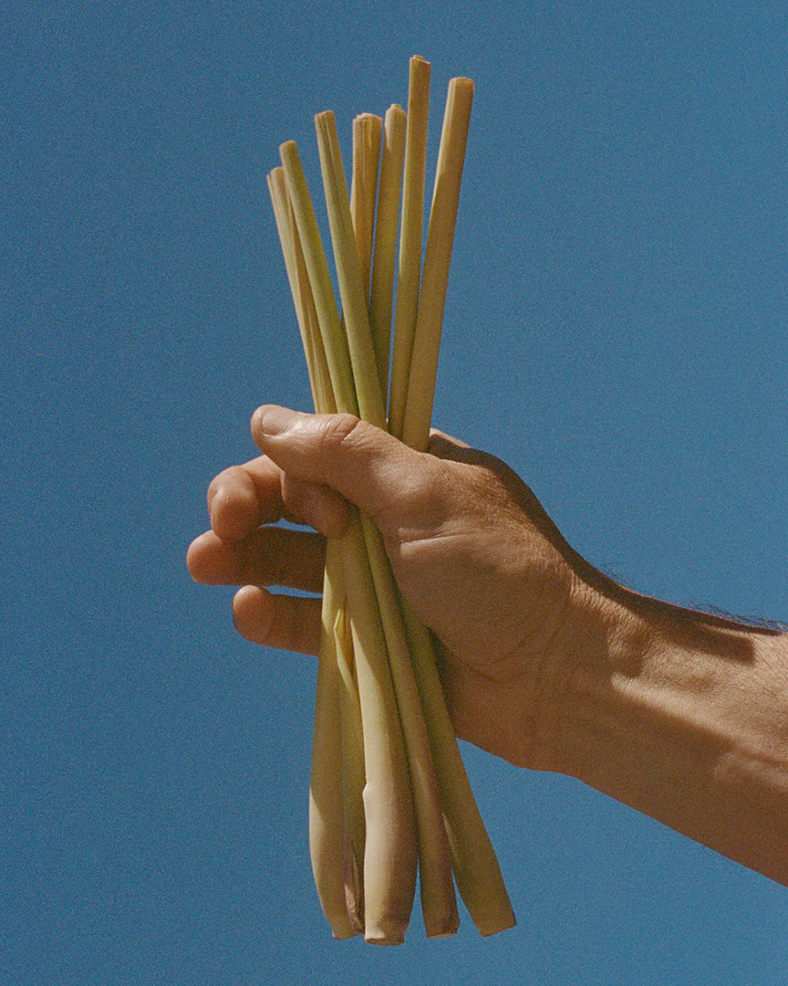 158 Body Lotion - Image 4