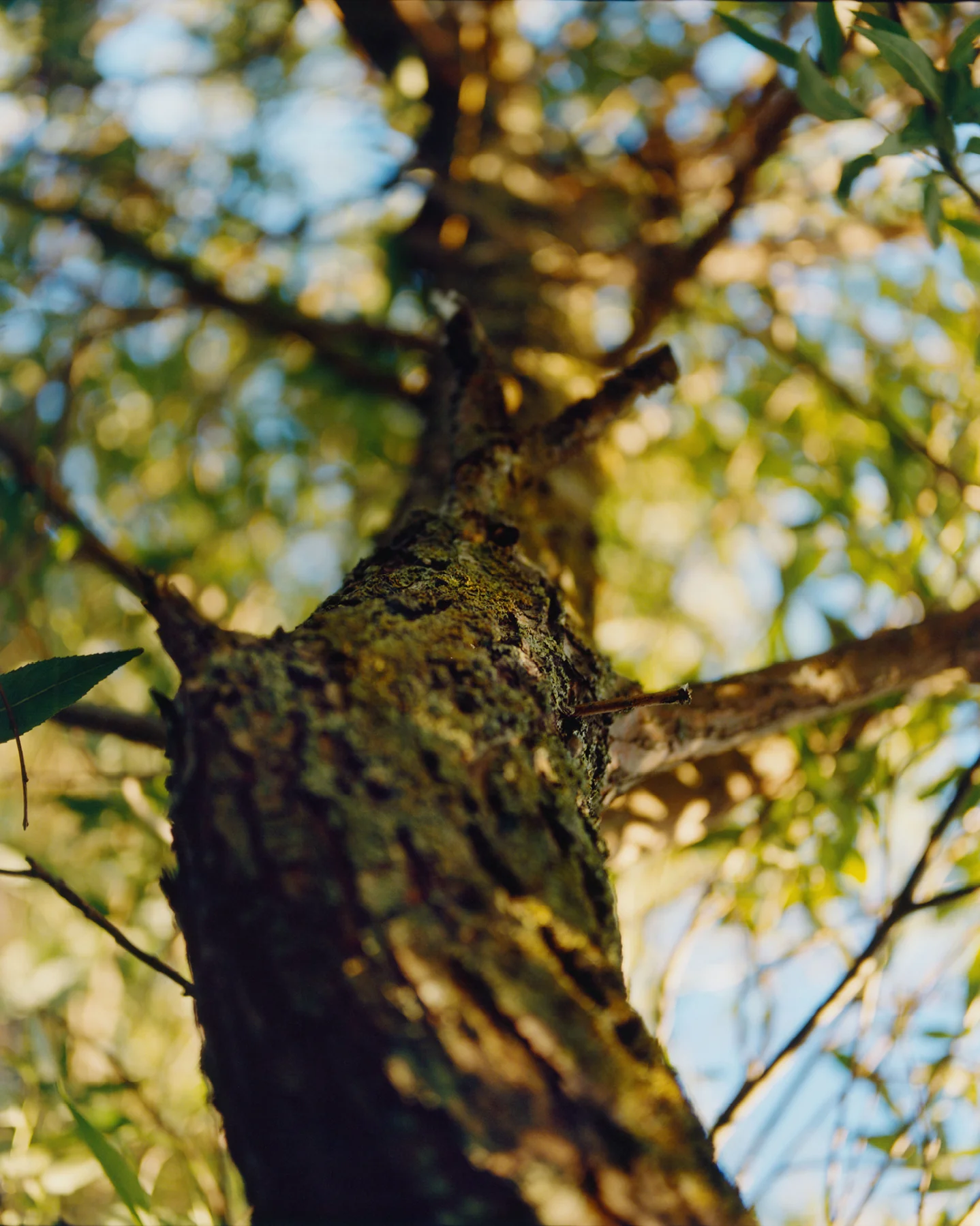 277 Mild Cleansing Gel - Image 4