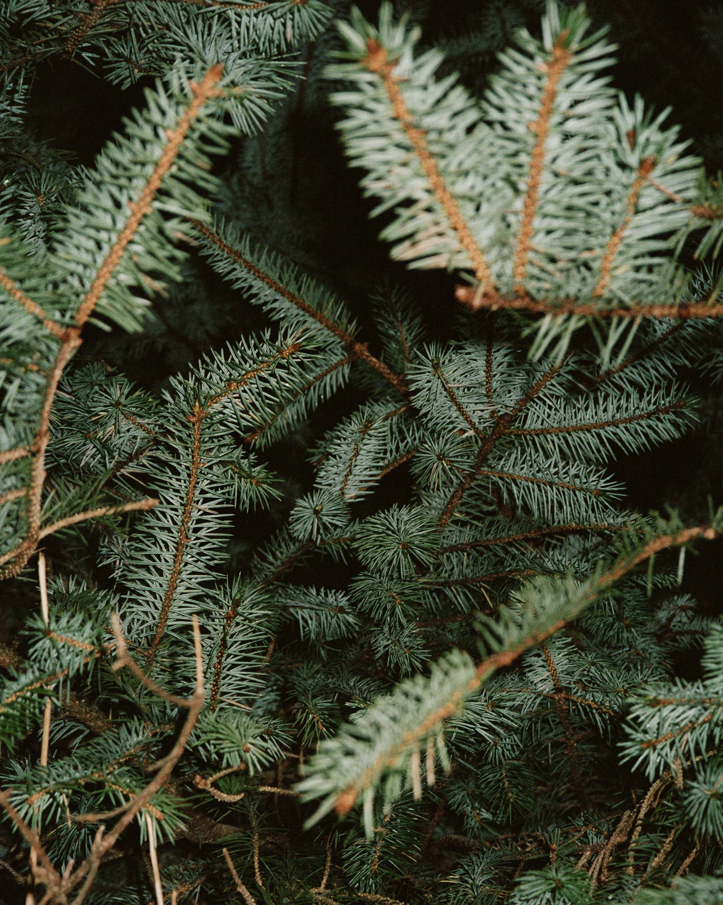 225 Body Lotion - Image 3